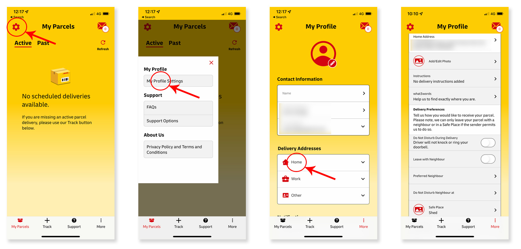 dhl-app-instructions.jpg