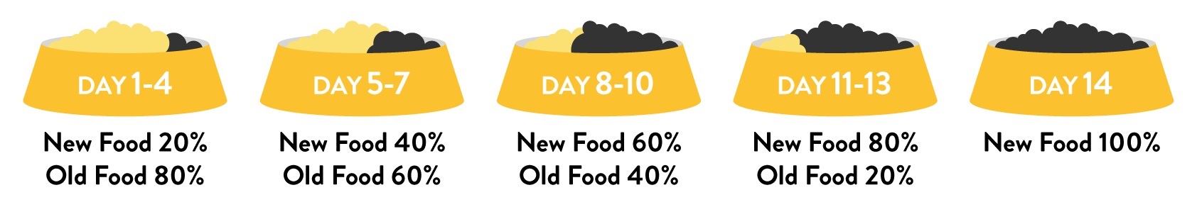 diet_transition__002_.jpg