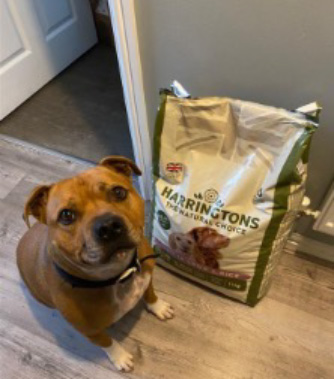 Feeding Guide Staffordshire Bull Terrier Harringtons Customer Care